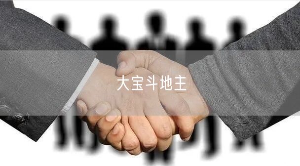 大宝斗地主